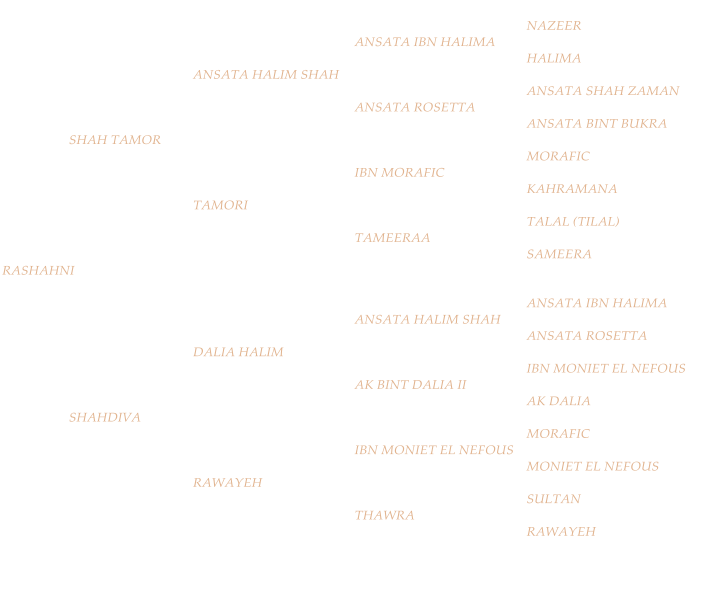 NAZEER ANSATA IBN HALIMA HALIMA ANSATA HALIM SHAH ANSATA SHAH ZAMAN ANSATA ROSETTA ANSATA BINT BUKRA SHAH TAMOR MORAFIC IBN MORAFIC KAHRAMANA TAMORI TALAL (TILAL) TAMEERAA SAMEERA RASHAHNI ANSATA IBN HALIMA ANSATA HALIM SHAH ANSATA ROSETTA DALIA HALIM IBN MONIET EL NEFOUS AK BINT DALIA II AK DALIA SHAHDIVA MORAFIC IBN MONIET EL NEFOUS MONIET EL NEFOUS RAWAYEH SULTAN THAWRA RAWAYEH