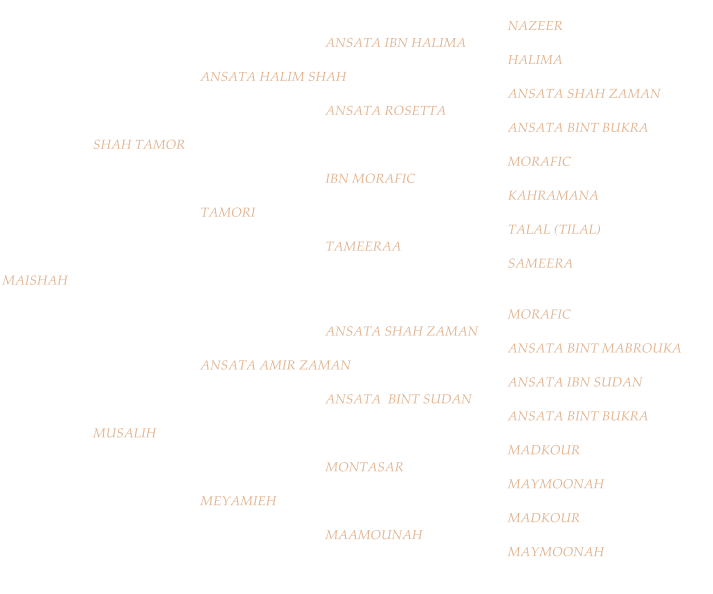 NAZEER ANSATA IBN HALIMA HALIMA ANSATA HALIM SHAH ANSATA SHAH ZAMAN ANSATA ROSETTA ANSATA BINT BUKRA SHAH TAMOR MORAFIC IBN MORAFIC KAHRAMANA TAMORI TALAL (TILAL) TAMEERAA SAMEERA MAISHAH MORAFIC ANSATA SHAH ZAMAN ANSATA BINT MABROUKA ANSATA AMIR ZAMAN ANSATA IBN SUDAN ANSATA  BINT SUDAN ANSATA BINT BUKRA MUSALIH MADKOUR MONTASAR MAYMOONAH MEYAMIEH MADKOUR MAAMOUNAH MAYMOONAH