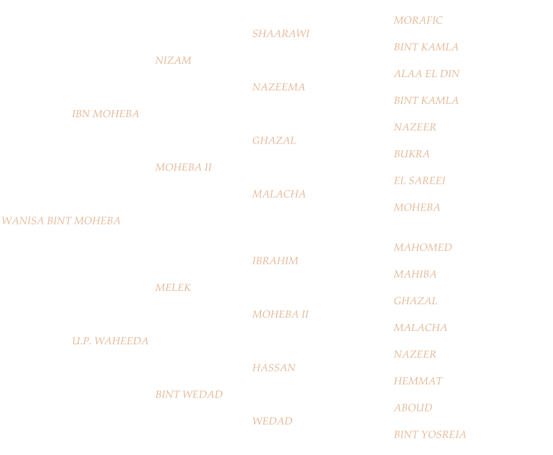 MORAFIC SHAARAWI BINT KAMLA NIZAM ALAA EL DIN NAZEEMA BINT KAMLA IBN MOHEBA NAZEER GHAZAL BUKRA MOHEBA II EL SAREEI MALACHA MOHEBA WANISA BINT MOHEBA MAHOMED IBRAHIM MAHIBA MELEK GHAZAL MOHEBA II MALACHA U.P. WAHEEDA NAZEER HASSAN HEMMAT BINT WEDAD ABOUD WEDAD BINT YOSREIA