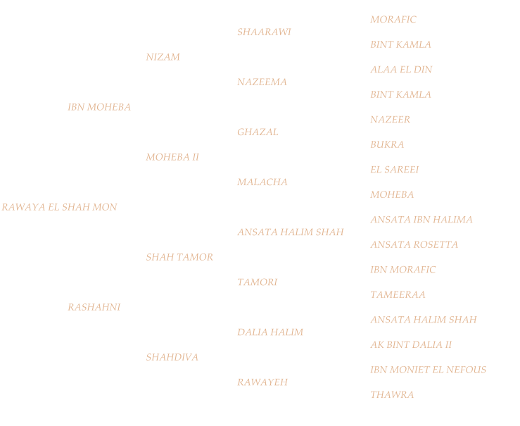 MORAFIC SHAARAWI BINT KAMLA NIZAM ALAA EL DIN NAZEEMA BINT KAMLA IBN MOHEBA NAZEER GHAZAL BUKRA MOHEBA II EL SAREEI MALACHA MOHEBA RAWAYA EL SHAH MON ANSATA IBN HALIMA ANSATA HALIM SHAH ANSATA ROSETTA SHAH TAMOR IBN MORAFIC TAMORI TAMEERAA RASHAHNI ANSATA HALIM SHAH DALIA HALIM AK BINT DALIA II SHAHDIVA IBN MONIET EL NEFOUS RAWAYEH THAWRA