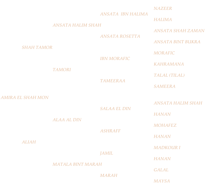 NAZEER ANSATA  IBN HALIMA HALIMA ANSATA HALIM SHAH ANSATA SHAH ZAMAN ANSATA ROSETTA ANSATA BINT BUKRA SHAH TAMOR MORAFIC IBN MORAFIC KAHRAMANA TAMORI TALAL (TILAL) TAMEERAA SAMEERA AMIRA EL SHAH MON  ANSATA HALIM SHAH SALAA EL DIN HANAN ALAA AL DIN MOHAFEZ ASHRAFF HANAN ALIAH MADKOUR I JAMIL HANAN MATALA BINT MARAH GALAL MARAH MAYSA