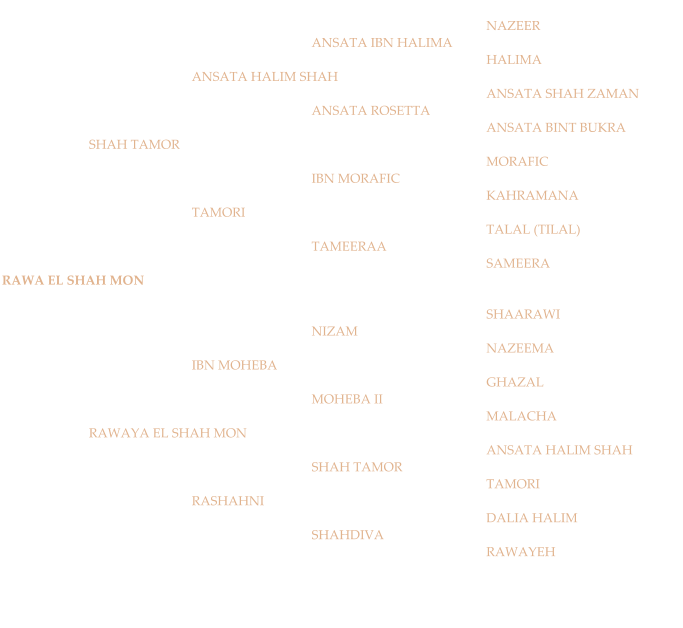 NAZEER ANSATA IBN HALIMA HALIMA ANSATA HALIM SHAH ANSATA SHAH ZAMAN ANSATA ROSETTA ANSATA BINT BUKRA SHAH TAMOR MORAFIC IBN MORAFIC KAHRAMANA TAMORI TALAL (TILAL) TAMEERAA SAMEERA RAWA EL SHAH MON SHAARAWI NIZAM NAZEEMA IBN MOHEBA  GHAZAL MOHEBA II MALACHA RAWAYA EL SHAH MON ANSATA HALIM SHAH SHAH TAMOR TAMORI RASHAHNI DALIA HALIM SHAHDIVA RAWAYEH