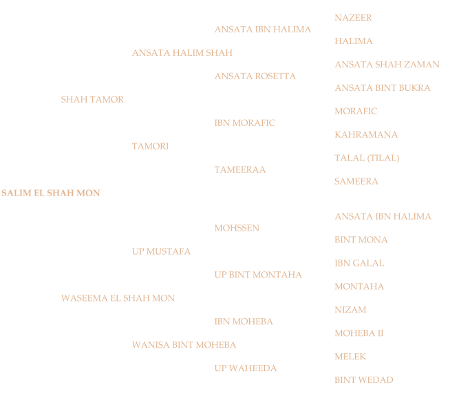 NAZEER ANSATA IBN HALIMA HALIMA ANSATA HALIM SHAH ANSATA SHAH ZAMAN ANSATA ROSETTA ANSATA BINT BUKRA SHAH TAMOR MORAFIC IBN MORAFIC KAHRAMANA TAMORI TALAL (TILAL) TAMEERAA SAMEERA SALIM EL SHAH MON ANSATA IBN HALIMA MOHSSEN BINT MONA UP MUSTAFA IBN GALAL UP BINT MONTAHA MONTAHA WASEEMA EL SHAH MON NIZAM IBN MOHEBA MOHEBA II WANISA BINT MOHEBA MELEK UP WAHEEDA BINT WEDAD