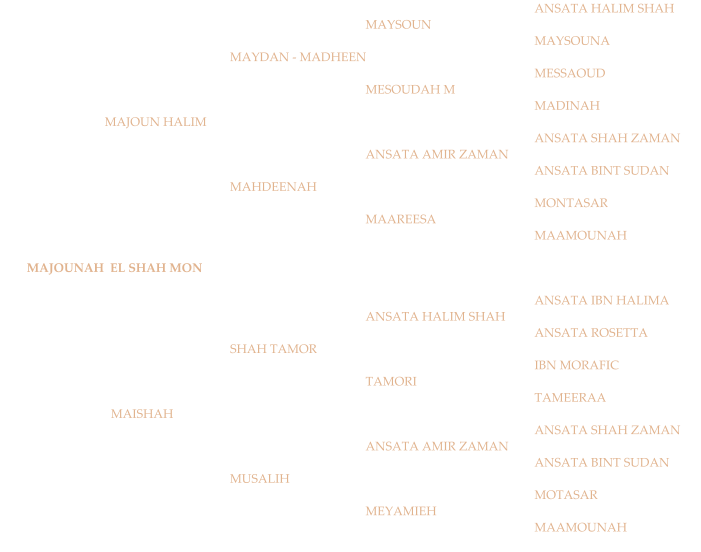 ANSATA HALIM SHAH MAYSOUN MAYSOUNA MAYDAN - MADHEEN MESSAOUD MESOUDAH M MADINAH    MAJOUN HALIM ANSATA SHAH ZAMAN ANSATA AMIR ZAMAN ANSATA BINT SUDAN MAHDEENAH MONTASAR MAAREESA MAAMOUNAH         MAJOUNAH  EL SHAH MON ANSATA IBN HALIMA ANSATA HALIM SHAH ANSATA ROSETTA SHAH TAMOR IBN MORAFIC TAMORI TAMEERAA      MAISHAH ANSATA SHAH ZAMAN ANSATA AMIR ZAMAN ANSATA BINT SUDAN MUSALIH MOTASAR MEYAMIEH MAAMOUNAH