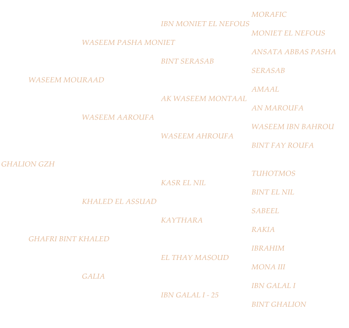 MORAFIC IBN MONIET EL NEFOUS MONIET EL NEFOUS WASEEM PASHA MONIET ANSATA ABBAS PASHA BINT SERASAB SERASAB WASEEM MOURAAD AMAAL AK WASEEM MONTAAL AN MAROUFA WASEEM AAROUFA WASEEM IBN BAHROU WASEEM AHROUFA BINT FAY ROUFA GHALION GZH TUHOTMOS KASR EL NIL BINT EL NIL KHALED EL ASSUAD SABEEL KAYTHARA RAKIA GHAFRI BINT KHALED IBRAHIM  EL THAY MASOUD MONA III GALIA IBN GALAL I  IBN GALAL I - 25  BINT GHALION